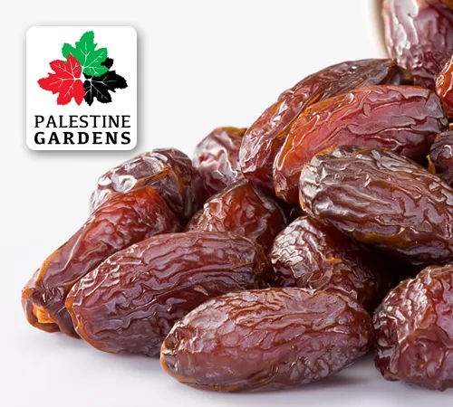 Toptan Kudüs (Filisitin) Hurması - Large 5kg.